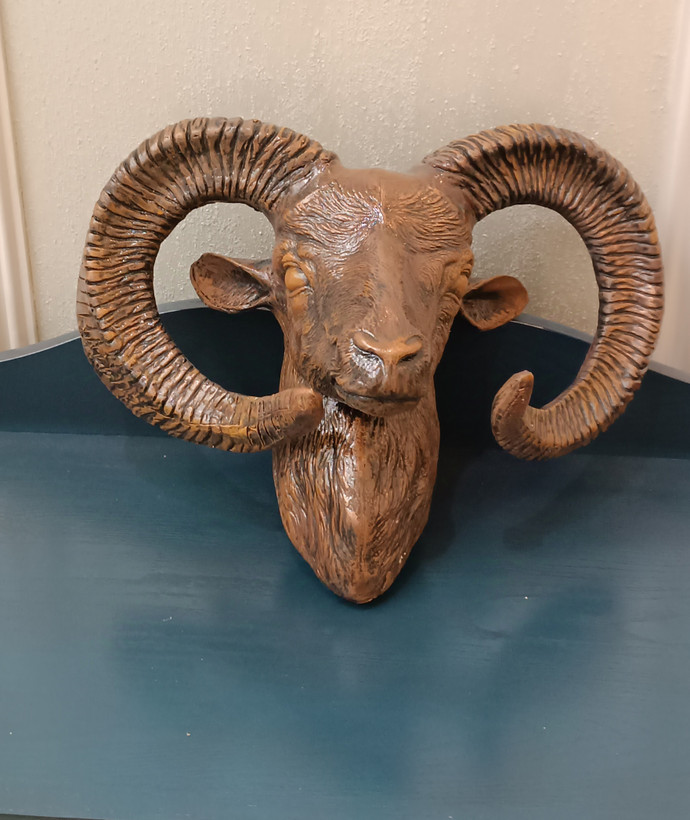 جنس پلیاستر